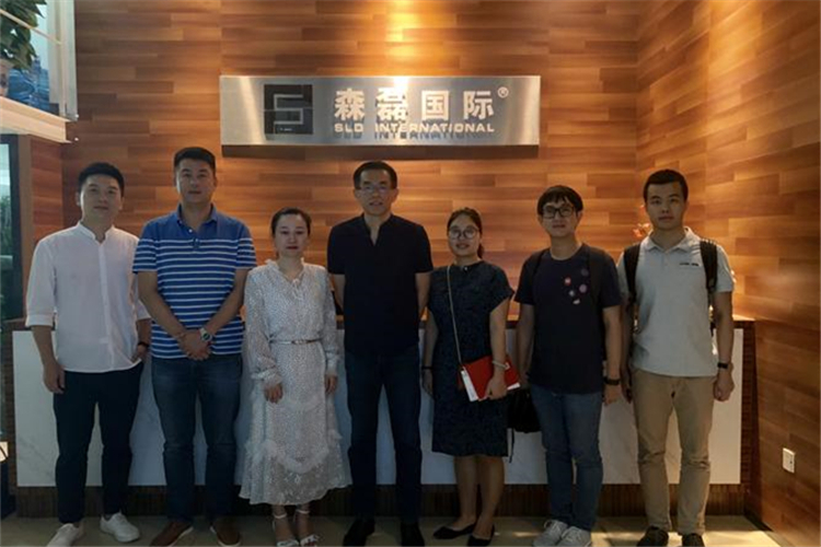 森磊国际有限公司财税服务案例