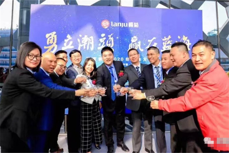 榄菊集团财税服务案例
